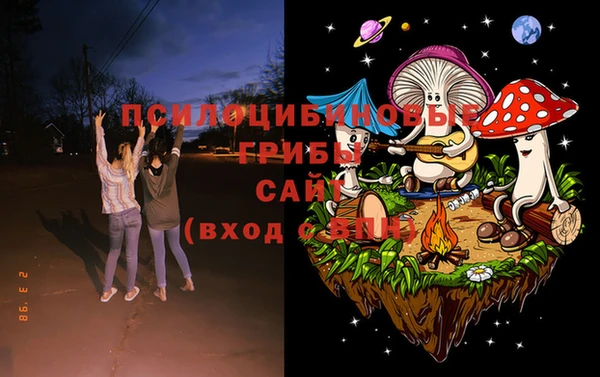стаф Киренск