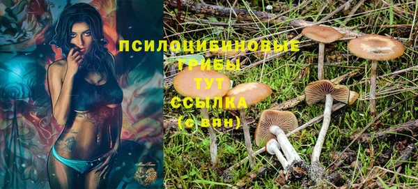 соль курить ск Алзамай
