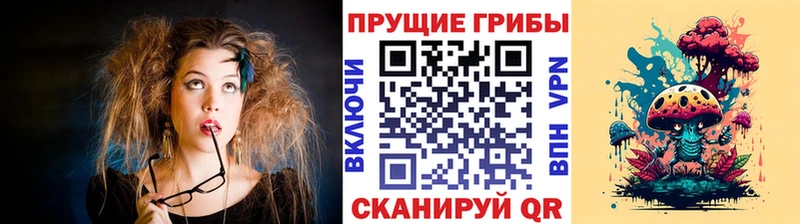 где купить наркоту  omg рабочий сайт  Псилоцибиновые грибы GOLDEN TEACHER  Лермонтов 