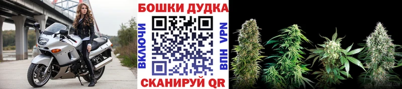 нарко площадка какой сайт закладка Лермонтов Канабис марихуана